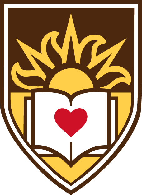 Lehigh Mountain Hawks 2001-Pres Alternate Logo DIY iron on transfer (heat transfer)